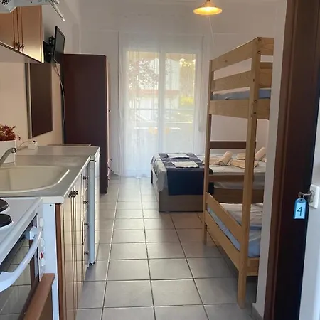 Jenny's 폴리크로노